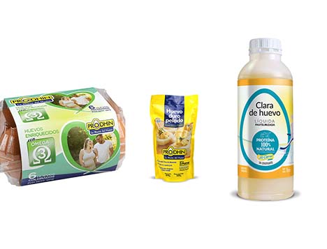 NOVOgen Brown, n°1 sur le marché œuf brun en Uruguay avec PRODHIN